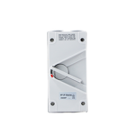 AVOL Double Pole Isolator Switch | 35A IP66